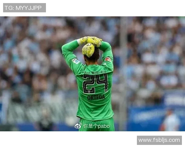 奥厄对纽伦堡比赛前瞻分析及胜负预测详解