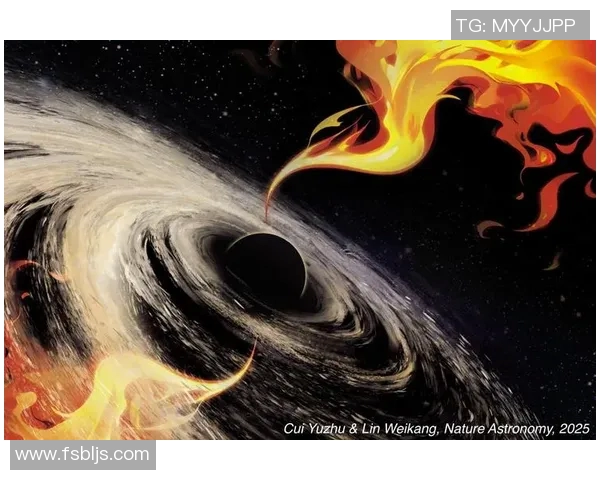 探寻布莱克尼的魅力与神秘揭示其背后的历史与文化之旅