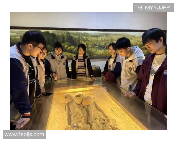 乒乓球的魅力与韵律探秘西安乒乓球队的训练与比赛节奏