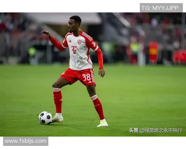 哈兰德在绿茵场上的崛起与未来展望：足球界的新星之路