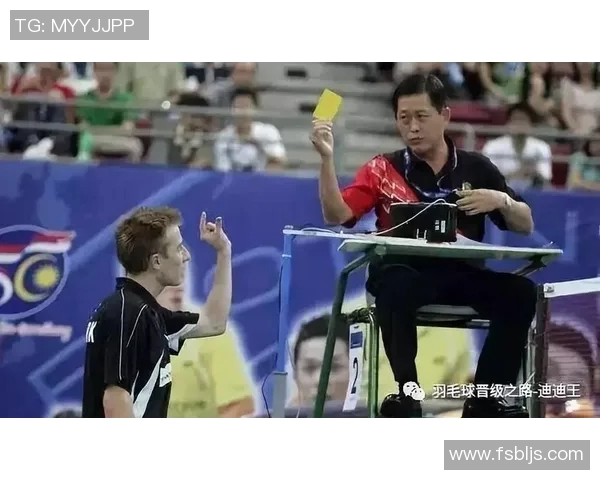 对话杨娜:回顾羽毛球生涯的辉煌与挑战之路 对话杨娜:回顾羽毛球生涯的辉煌与挑战之路