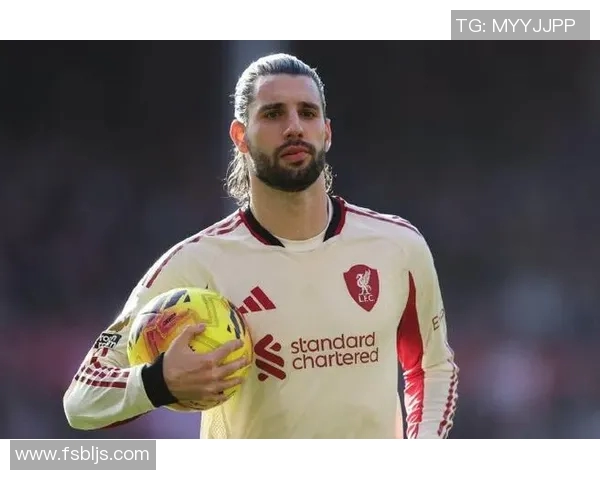 探索索博斯洛伊的历史遗迹与文化魅力之旅