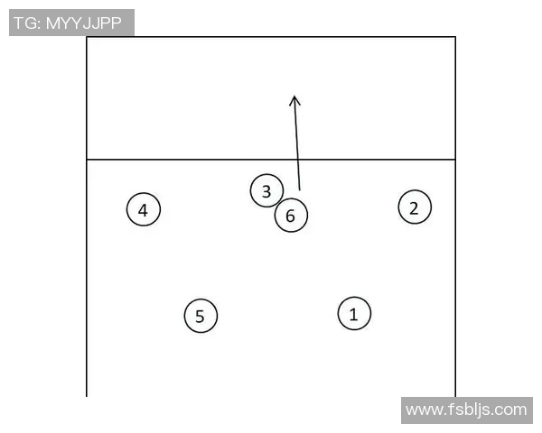武汉排球队在锦标赛中的节奏表现与战术分析探讨