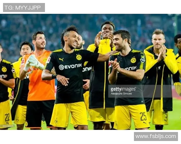 汉堡对阵多特精彩回放分析与比赛亮点总结